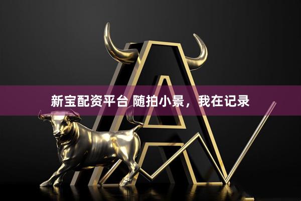 新宝配资平台 随拍小景，我在记录
