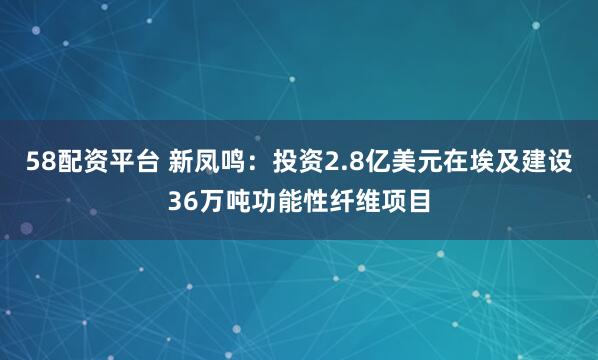 58配资平台 新凤鸣：投资2.8亿美元在埃及建设36万吨功能性纤维项目